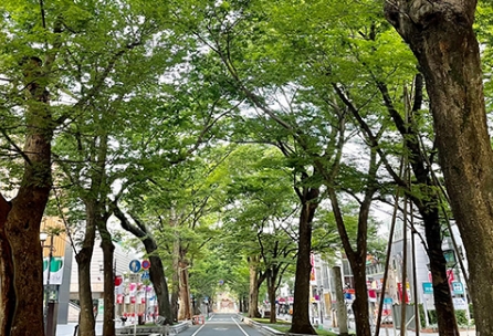 東京の自然・歴史を感じるFUCHU