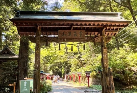 大自然に触れる高尾山