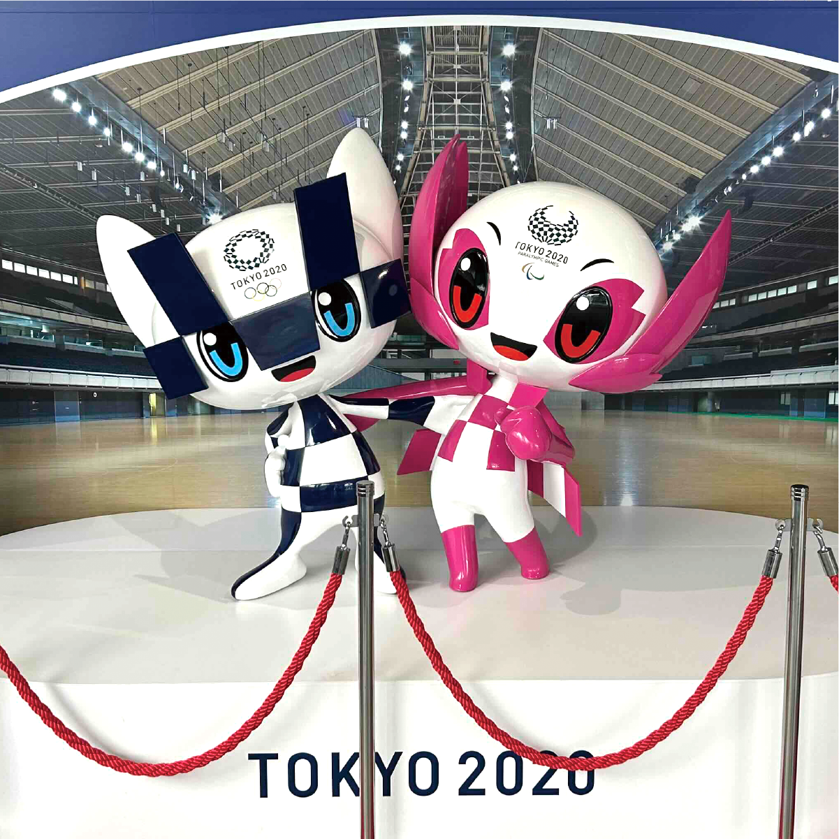 TOKYOスポーツレガシーコースのイメージ写真
