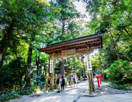 大自然に触れる高尾山