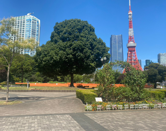 東京2020パラリンピック競技大会 マラソンコース