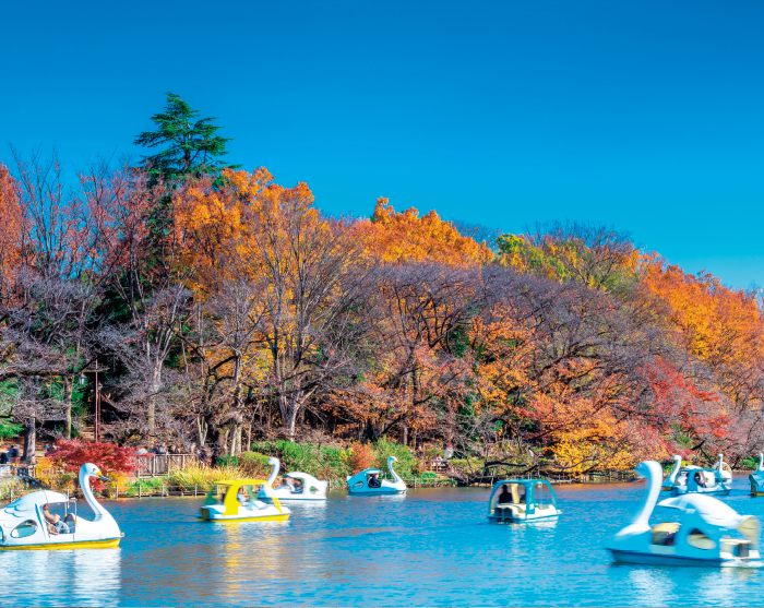 井の頭恩賜公園